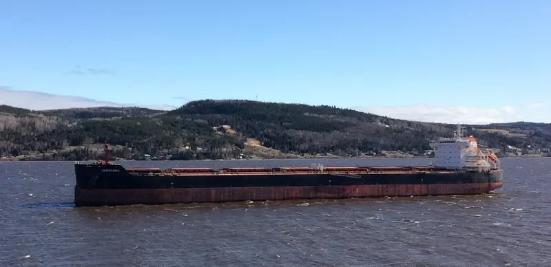 AM BUCHANAN Bulk Carrier IMO 9624110 photo 3