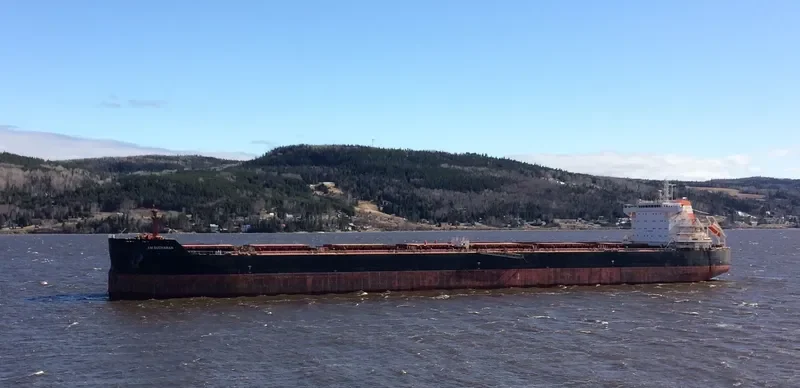 AM BUCHANAN Bulk Carrier IMO 9624110 photo 4