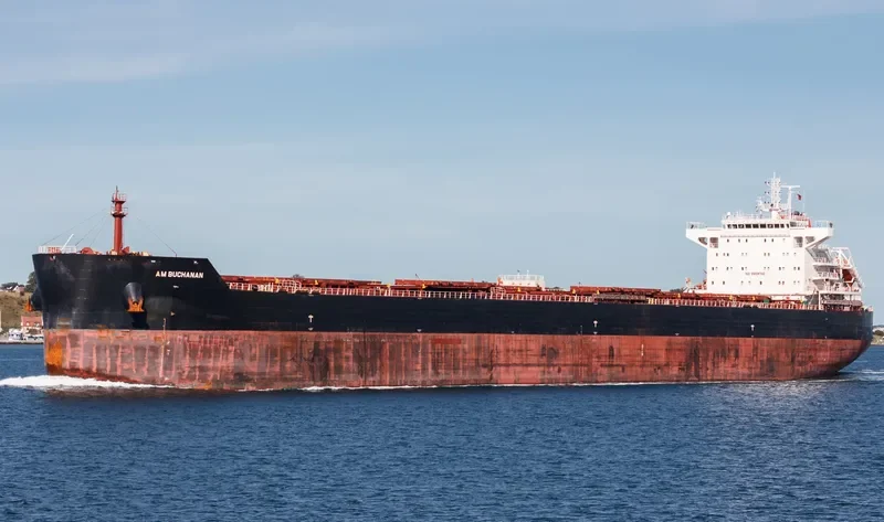AM BUCHANAN Bulk Carrier IMO 9624110 photo 9