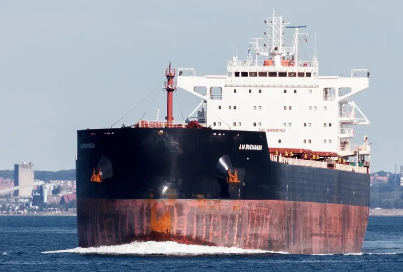 AM BUCHANAN Bulk Carrier IMO 9624110 photo 10