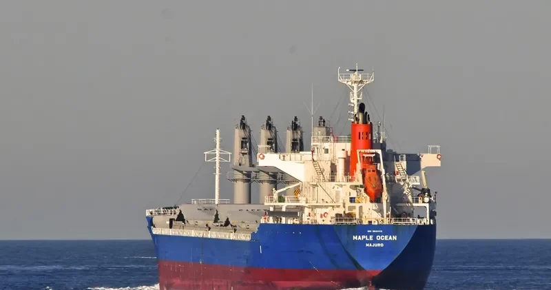 MAPLE OCEAN Bulk Carrier IMO 9624172
