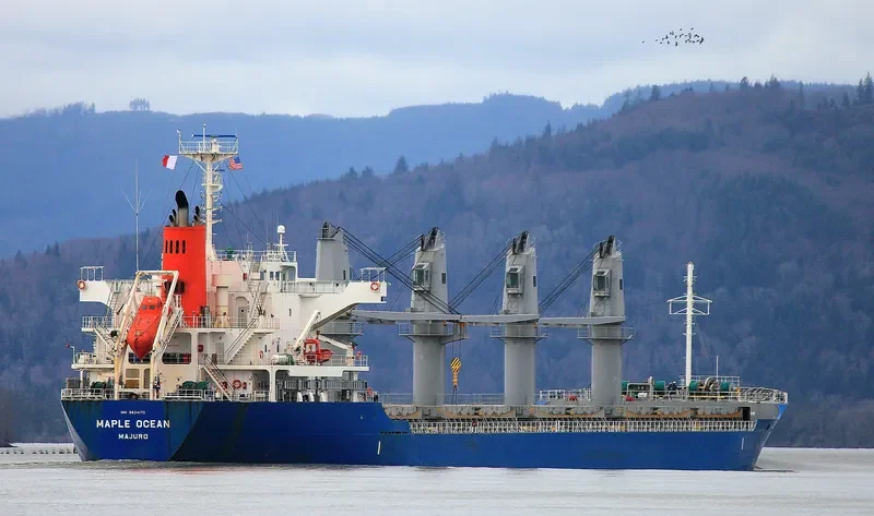 MAPLE OCEAN Bulk Carrier IMO 9624172 photo 3