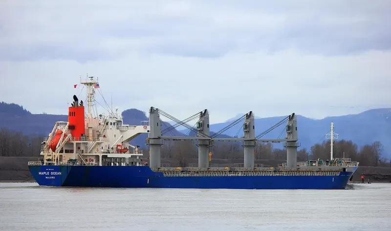 MAPLE OCEAN Bulk Carrier IMO 9624172 photo 4