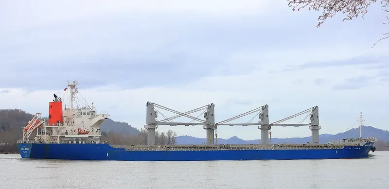 MAPLE OCEAN Bulk Carrier IMO 9624172 photo 5
