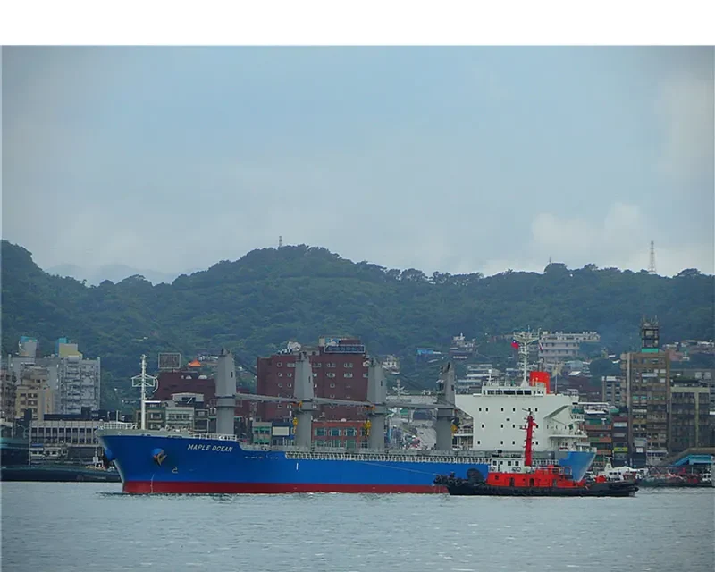 MAPLE OCEAN Bulk Carrier IMO 9624172 photo 7