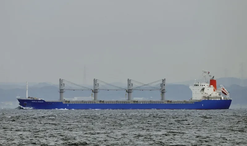MAPLE OCEAN Bulk Carrier IMO 9624172 photo 8