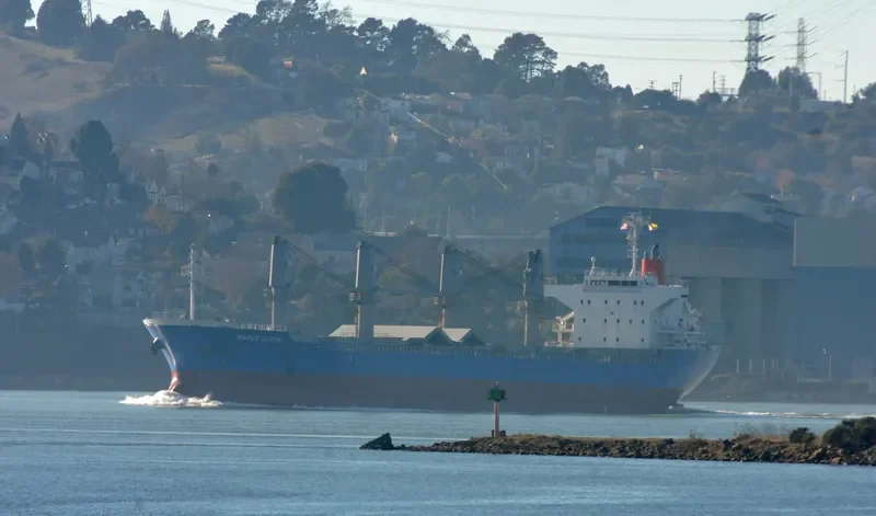 MAPLE OCEAN Bulk Carrier IMO 9624172 photo 9