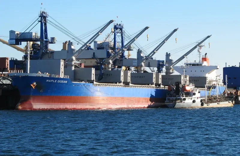 MAPLE OCEAN Bulk Carrier IMO 9624172 photo 10