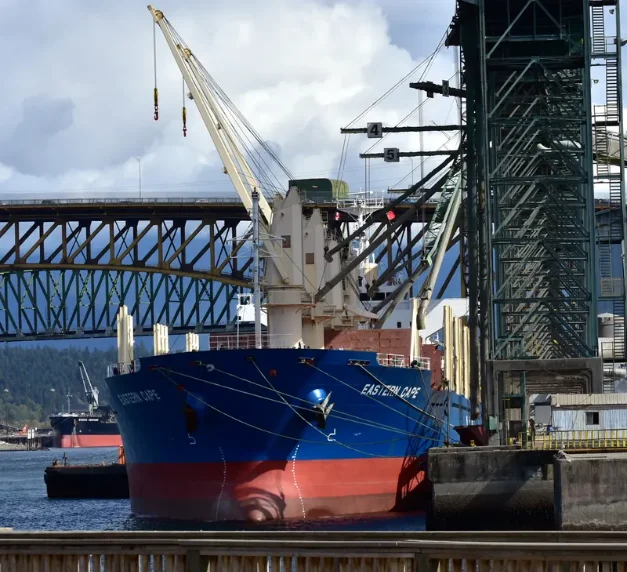 EASTERN CAPE Bulk Carrier IMO 9624184