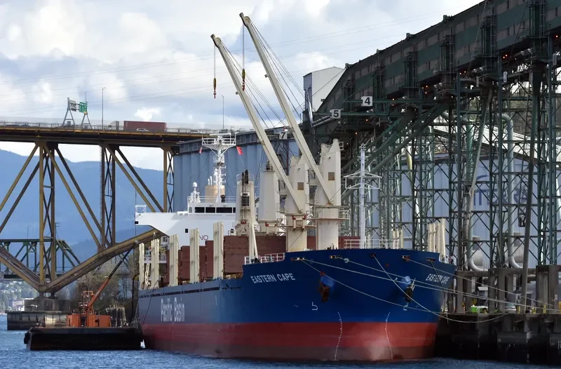 EASTERN CAPE Bulk Carrier IMO 9624184 photo 2