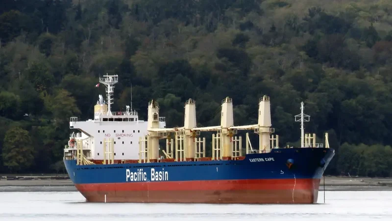 EASTERN CAPE Bulk Carrier IMO 9624184 photo 4