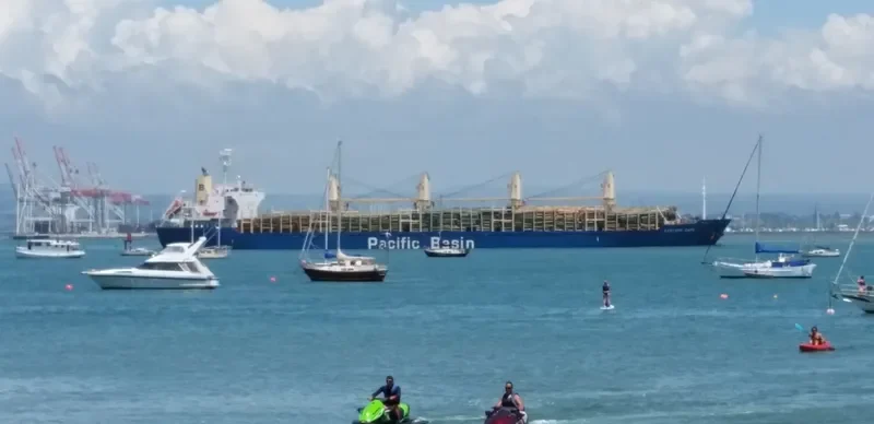 EASTERN CAPE Bulk Carrier IMO 9624184 photo 7