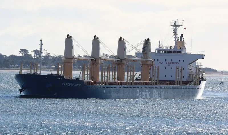 EASTERN CAPE Bulk Carrier IMO 9624184 photo 10