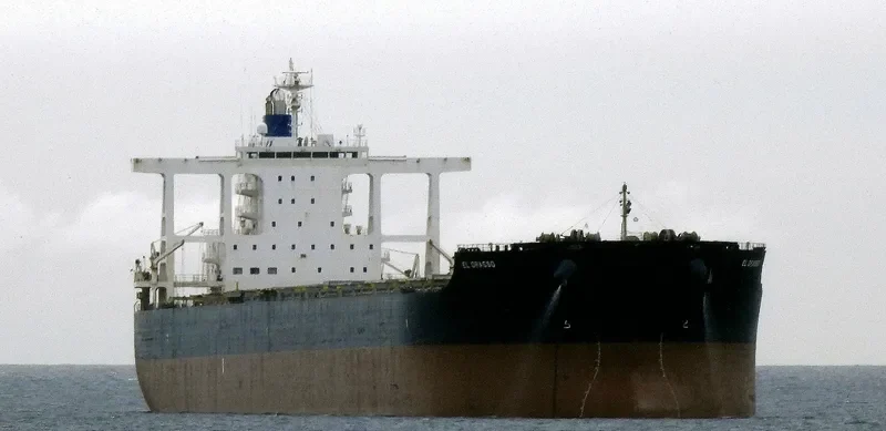 EL GRASSO Bulk Carrier IMO 9624251 photo 5