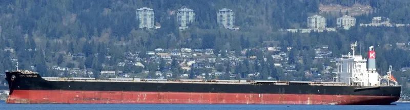 CAPE EMERALD Bulk Carrier IMO 9624263 photo 2