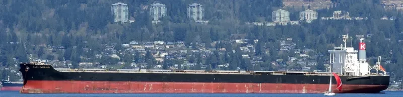 CAPE EMERALD Bulk Carrier IMO 9624263 photo 3
