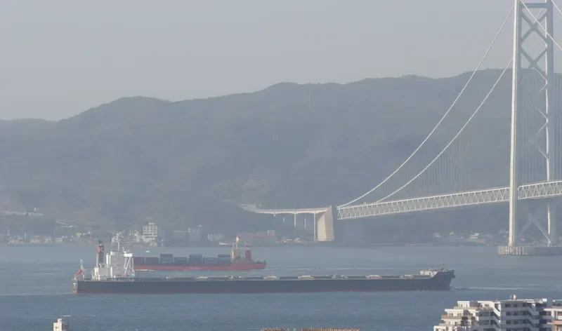 CAPE EMERALD Bulk Carrier IMO 9624263 photo 7