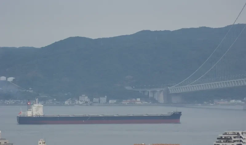 CAPE EMERALD Bulk Carrier IMO 9624263 photo 9