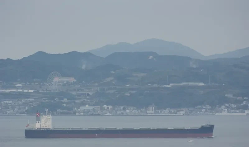 CAPE EMERALD Bulk Carrier IMO 9624263 photo 10