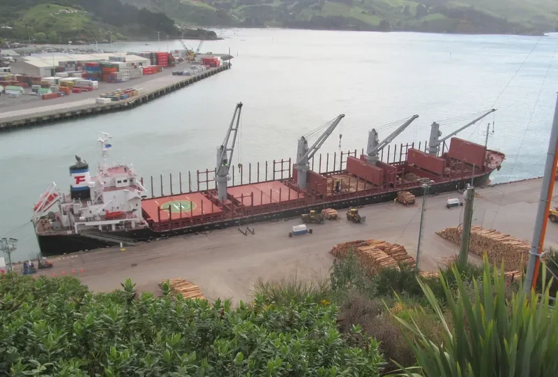 EVER GALLANT Bulk Carrier IMO 9624328