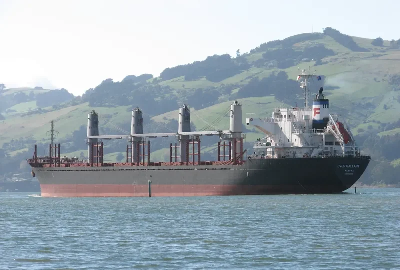 EVER GALLANT Bulk Carrier IMO 9624328 photo 2