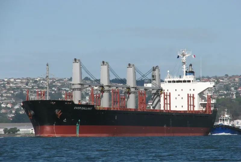 EVER GALLANT Bulk Carrier IMO 9624328 photo 3