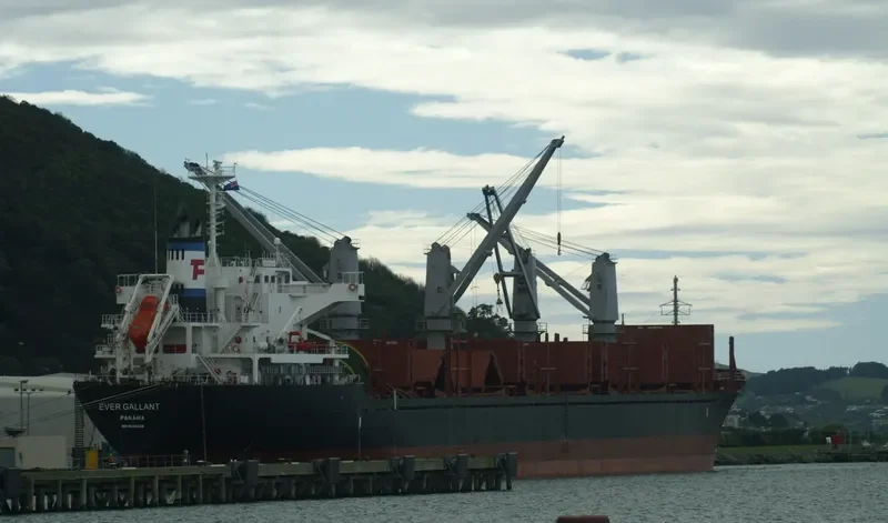 EVER GALLANT Bulk Carrier IMO 9624328 photo 4
