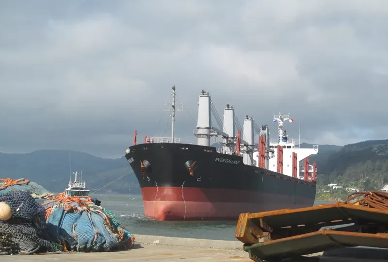 EVER GALLANT Bulk Carrier IMO 9624328 photo 5