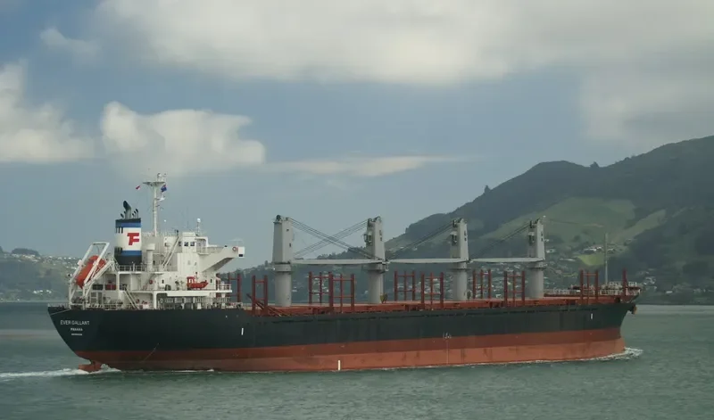 EVER GALLANT Bulk Carrier IMO 9624328 photo 6