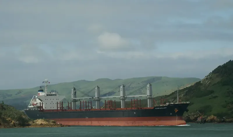 EVER GALLANT Bulk Carrier IMO 9624328 photo 7