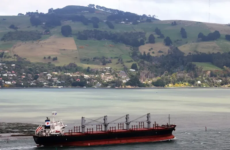 EVER GALLANT Bulk Carrier IMO 9624328 photo 8