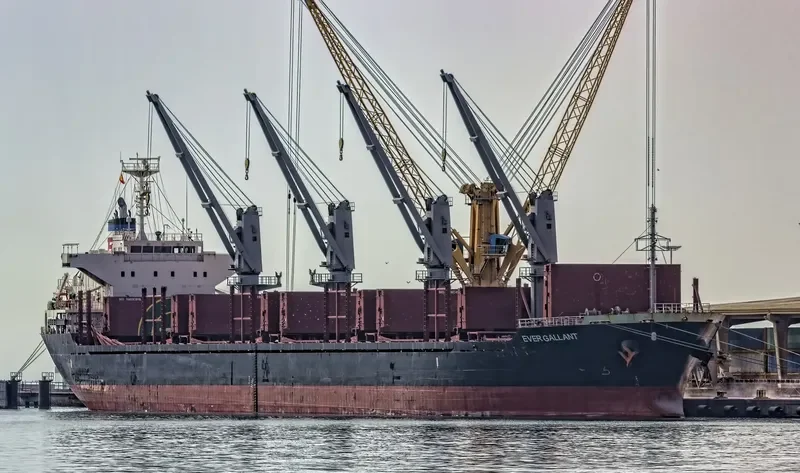 EVER GALLANT Bulk Carrier IMO 9624328 photo 10