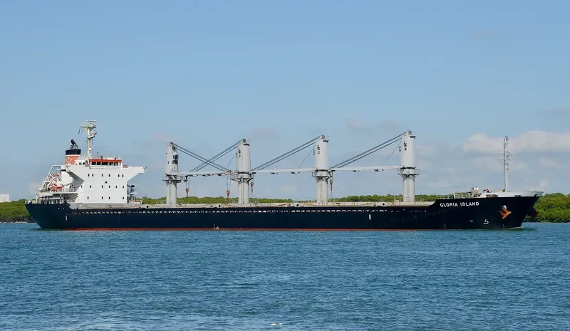 IOANNIS S Bulk Carrier IMO 9624330 photo 2