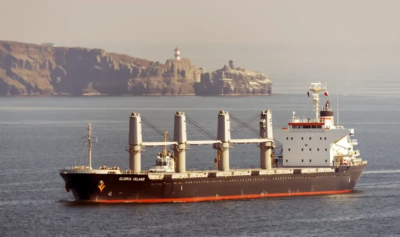 IOANNIS S Bulk Carrier IMO 9624330 photo 8
