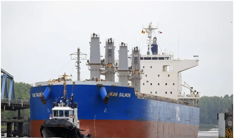 PPS SALMON Bulk Carrier IMO 9624380