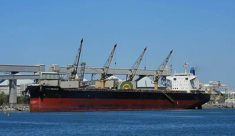 PPS SALMON Bulk Carrier IMO 9624380 photo 6