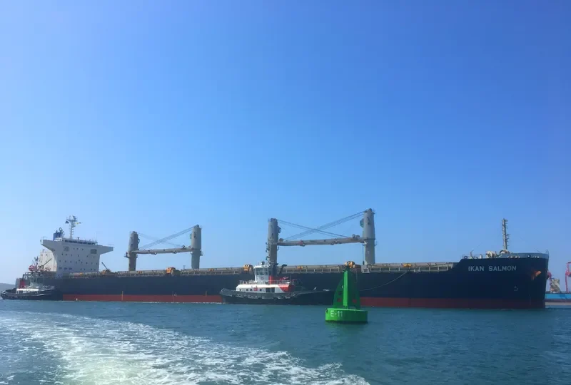 PPS SALMON Bulk Carrier IMO 9624380 photo 7