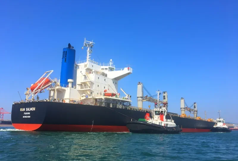PPS SALMON Bulk Carrier IMO 9624380 photo 8