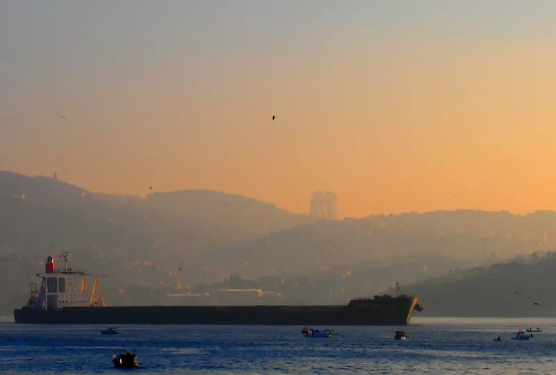 ORANGE TIARA Bulk Carrier IMO 9624445