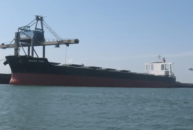 ORANGE TIARA Bulk Carrier IMO 9624445 photo 2