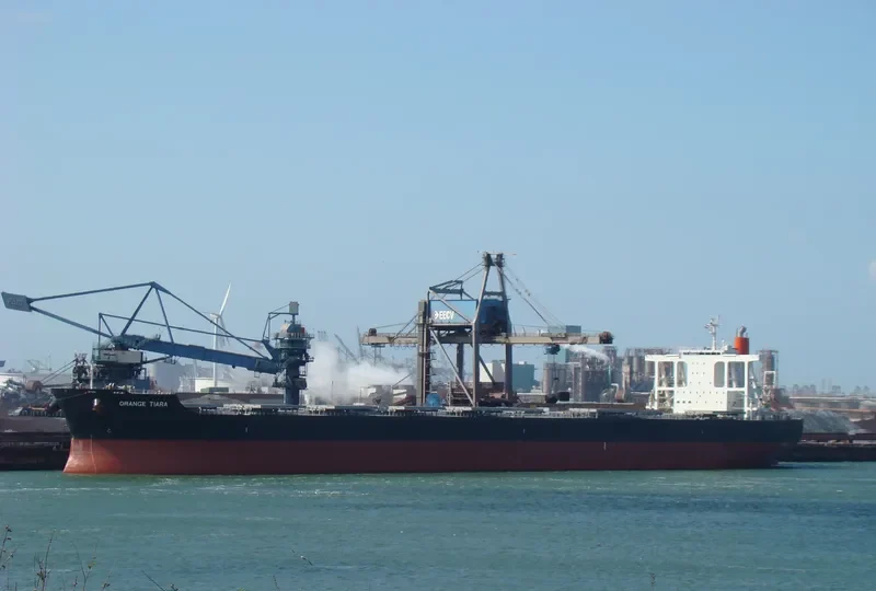 ORANGE TIARA Bulk Carrier IMO 9624445 photo 3