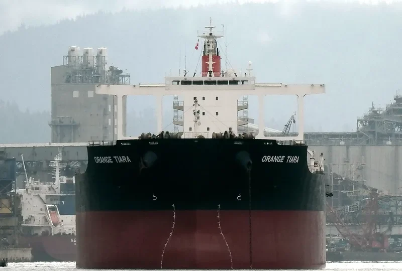 ORANGE TIARA Bulk Carrier IMO 9624445 photo 5