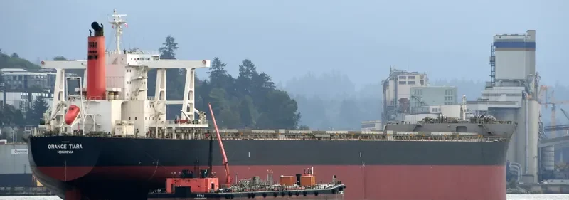ORANGE TIARA Bulk Carrier IMO 9624445 photo 6