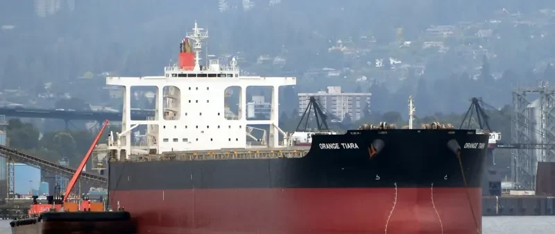 ORANGE TIARA Bulk Carrier IMO 9624445 photo 7
