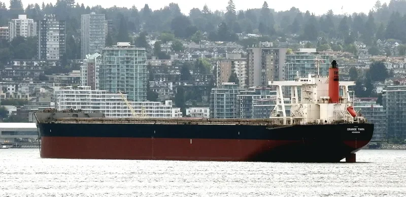 ORANGE TIARA Bulk Carrier IMO 9624445 photo 8