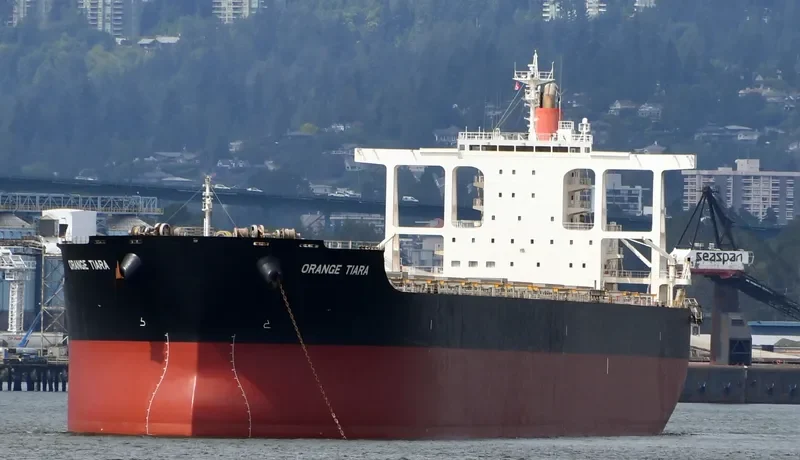 ORANGE TIARA Bulk Carrier IMO 9624445 photo 9