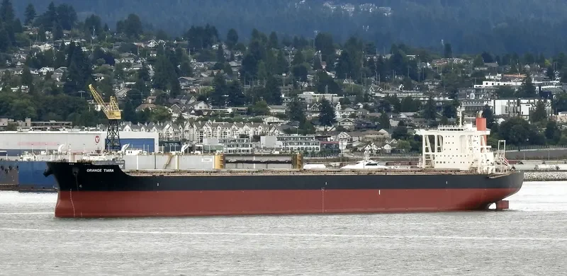 ORANGE TIARA Bulk Carrier IMO 9624445 photo 10
