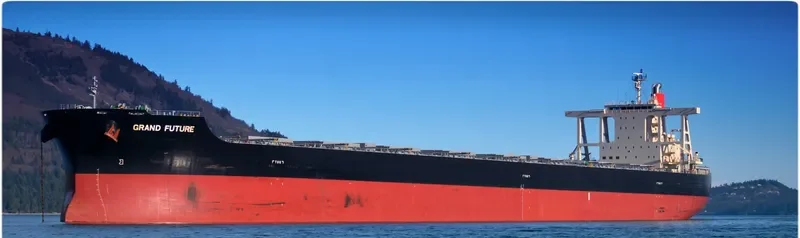 CAPE EAGLE Bulk Carrier IMO 9624469