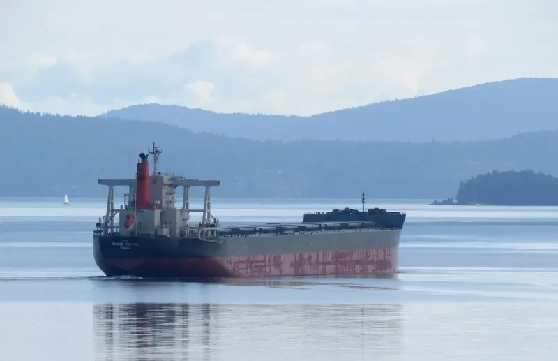 CAPE EAGLE Bulk Carrier IMO 9624469 photo 2
