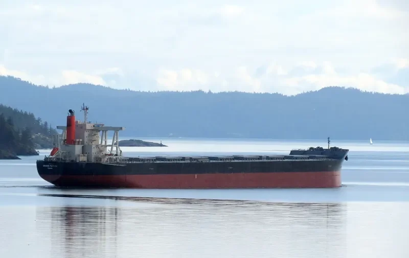 CAPE EAGLE Bulk Carrier IMO 9624469 photo 3